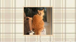 Same Old - Felivand {Slowed}