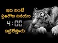 21 Days ఇలా 4 Am కి లేస్తే మీ Life Next Level కి వెళ్తుం