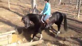 Cari Swanson and Rex Peterson Training on the Obstacle  Course.m4v