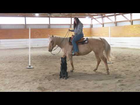 Take A Trip To The Barn With "Fable"