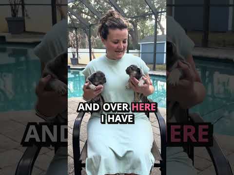 Video 5