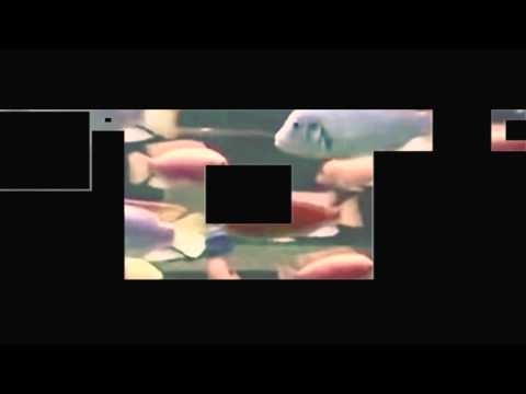 Cosma Castiglia - Autostrada Intergalattica (Traum CDDig 37)