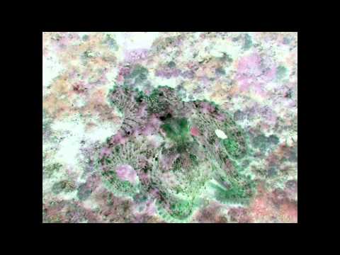 DJ ramos Mix 2015 news song