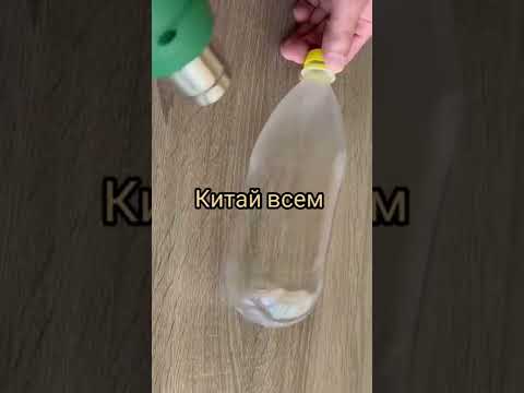И это из обычной пластиковой бутылки 😲 #shorts #idea #diy #сделайсам #своимируками #идея #креатив