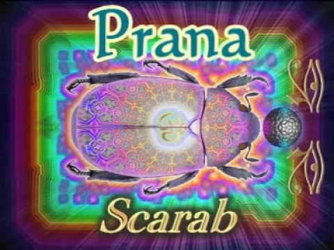 Prana - Scarab