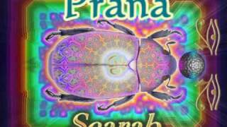 Prana - Scarab