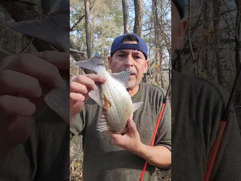 aprende cómo pescar en los ríos de y lagos de Houston  texas