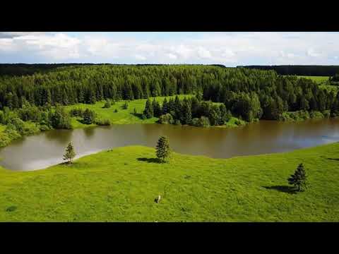 Amazing Collection of Nature | Ajmal Hussain