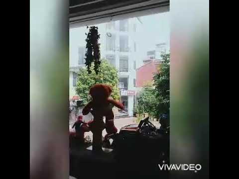 Chính chủ cho thuê MBKD phố Sơn Tây, Kim Mã