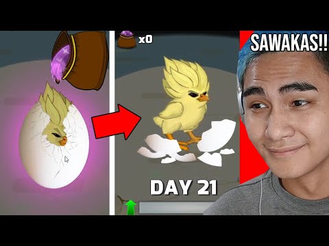 Nag CHEAT AKO PARA Makuha  Si SUPER SISIW! || Manok Na Pula Part 11