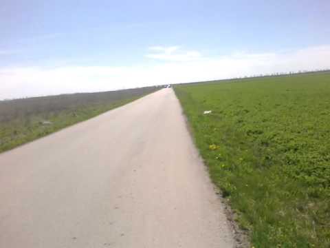 "Curse ilegale in Rasuceni"..part 2