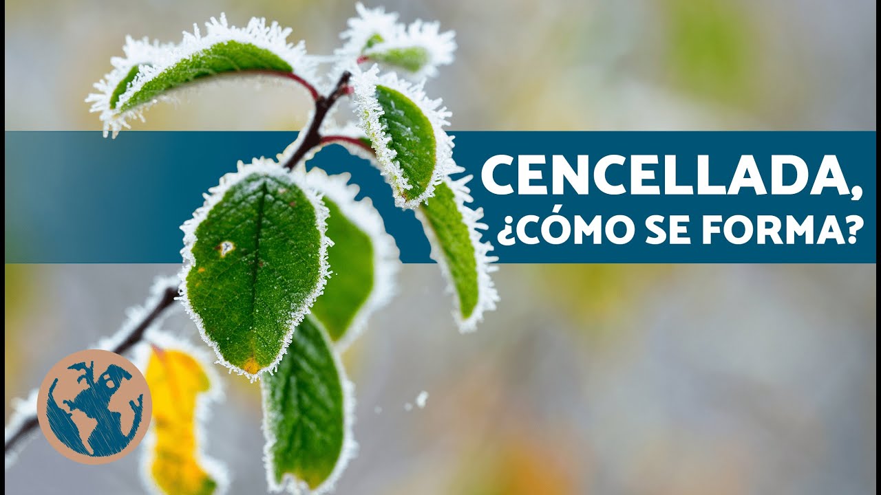 youtube video id=-4BrQdM7xfo