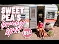 Tiny Vintage Trailer Moved to it's Final Resting Spot | Answering your Questions