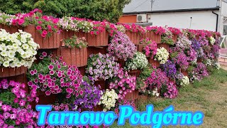 Przemysłowa polska wieś - Tarnowo Podgórne.To coś niesamowitego!