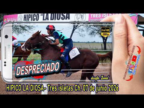 DESPRECIADO-Hipico la Diosa- Tres isletas Ch. 07-06-26