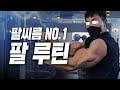 남자 팔운동 이걸로 종결💪ㅣ직장인 보디빌더 심승호 팔 루틴