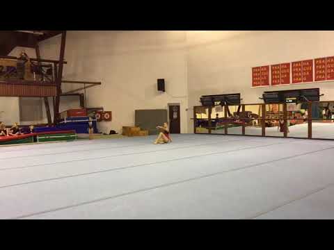 Hedvika Č. - Přebor Prahy družstev 2019, II. liga, prostná