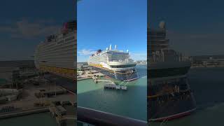 Room Tour On the MSC Grandiosa