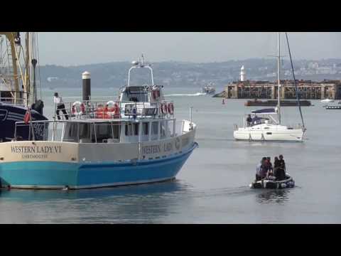 Brixham Harbour Dolphin Strandings 23/08/2016  - Video8 of 8