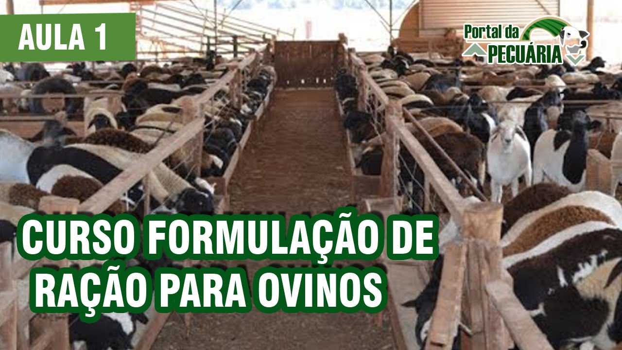Curso Formulação de ração ovinos - Aula 1
