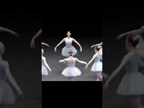 Vienna State Opera Ballet