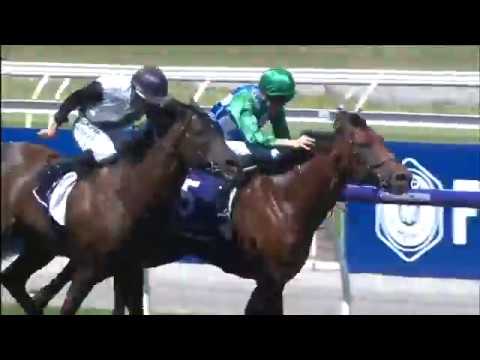 2019 VRC Blamey Stakes