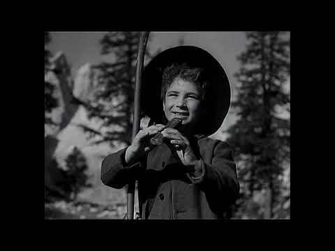 KEKEC - Dobra volja je najbolja