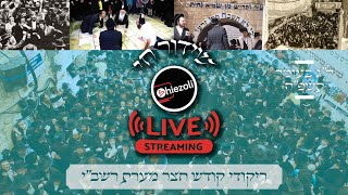 Live: Dancing in the Courtyard of the Rashbi | שידור חי: ריקודי קודש חצר מערת רשב"י
