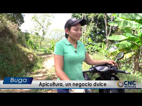 Apicultura, un negocio dulce para las familias campesinas.