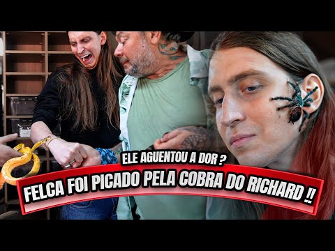 FELCA TOMOU UMA PICADA DA COBRA DO RICHARD - NÃO AGUENTOU A DOR ?