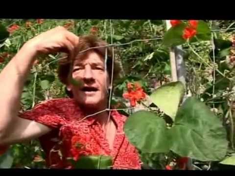 River Cottage - Gone Fishing  Channel Islands