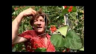 River Cottage - Gone Fishing  Channel Islands MQDEFAULT Thumbnail