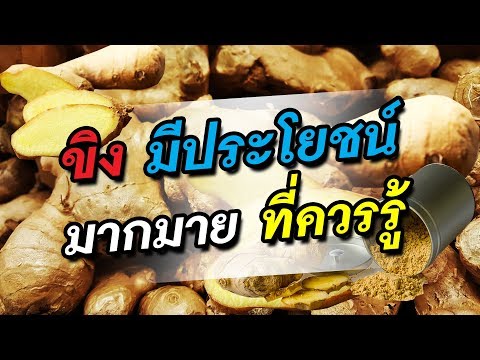 ตำนานของพรูและค้อนของเขา สมาชิกที่เล็กที่สุดของเว็บไซต์