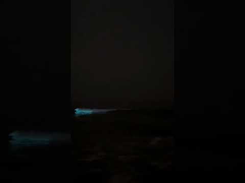 Pondicherry#Rack beach#