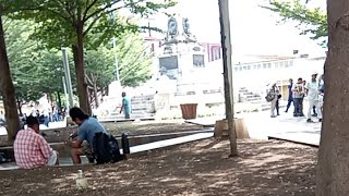 DESDE LA PLAZA LIBERTAD FELIZ DIA DOMINGO 🙏☺️🇸🇻