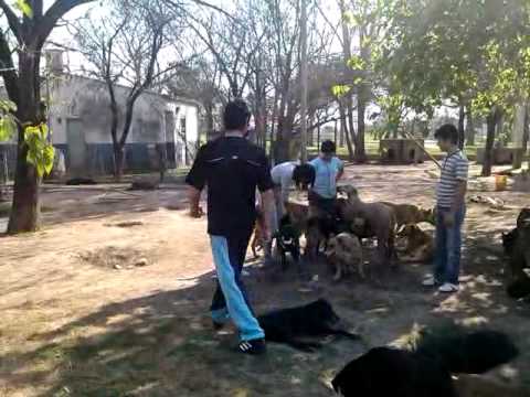 JpV Rafaela visita ARPA.3gp