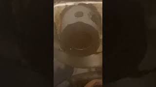 #CREEPY#RUSTY#ONE#EYE #MONSTER