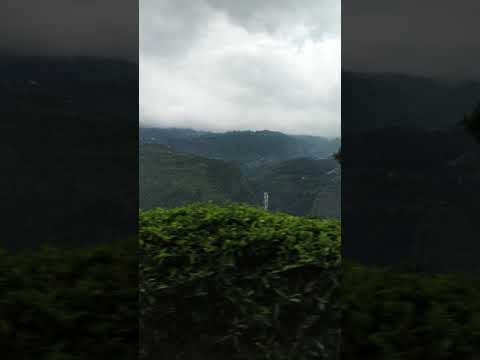 OOTY Highest Waterfall View From Rainy Tea Garden Video