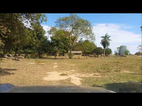 CHUTO GAMEZ - EL CAZADOR