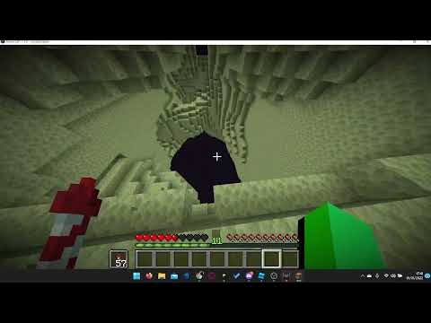 Elytra Void Clutch