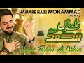 Hamare Hain Mohammad Farhan Ali Waris New Naat 2020 1442