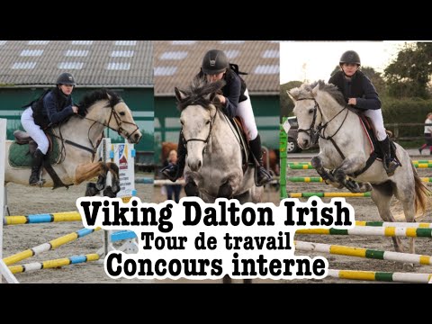 ⬛️Concours interne• Viking, Dalton et Irish• Guilers équitation