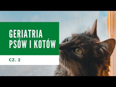 Geriatria psów i kotów cz 2