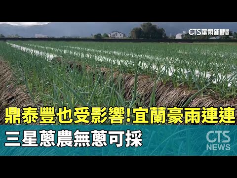 鼎泰豐也受影響！　宜蘭豪雨連連　三星蔥農無蔥可採