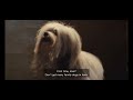 Lady And The Tramp 2019 He S A Tramp Scene HD