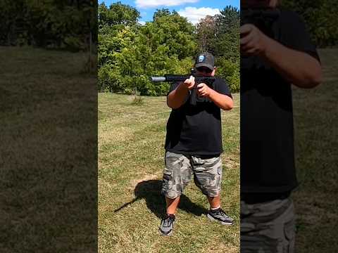 Anechoic Anechox 22 Suppressor - Bear Creek Arsenal AR22 Upper - Remington Standard V 22lr