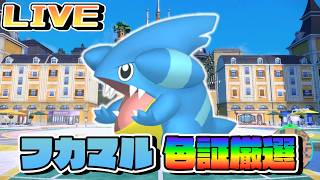フカマル色証厳選！【ポケモンSV】