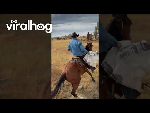 Horse Suddenly Bucks Off Rider || ViralHog