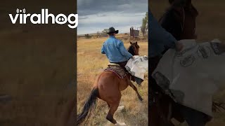 Horse Suddenly Bucks Off Rider || ViralHog