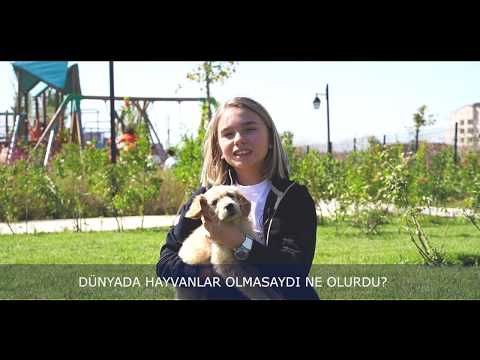ONLARIN BİZE DEĞİL, BİZLERİN ONLARA İHTİYACI VAR